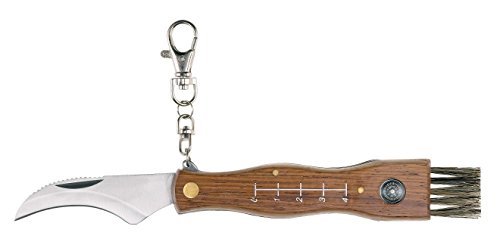 AUSONIA - 26300 COUTEAU À CHAMPIGNONS AVEC LAME EN ACIER INOX AISI 440 DE 6 CM ET MANCHE EN BOIS. 20 CM