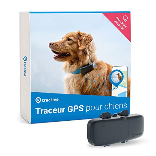 Tractive collier GPS pour chien, Traceur avec portée...