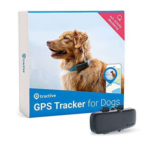 Tractive collier GPS pour chien, Traceur avec portée...